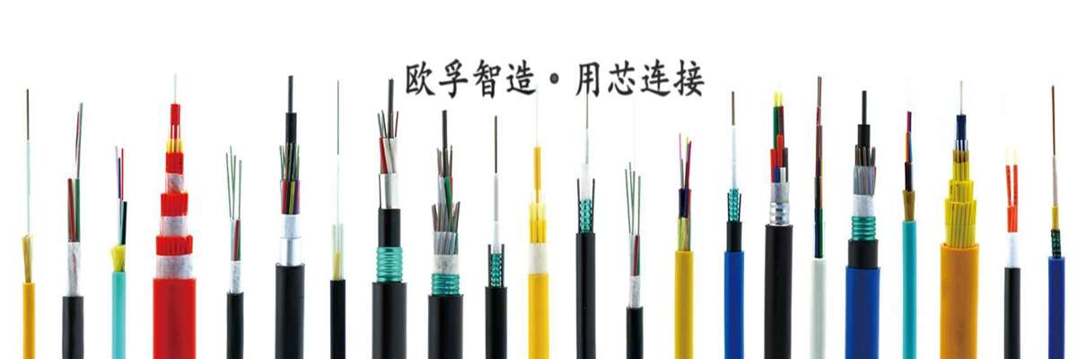 欧孚光电有限公司