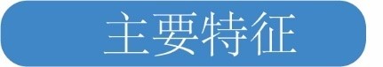 主要特征