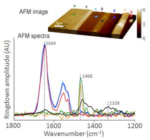 MultilayerFilm ApplicationsPage B