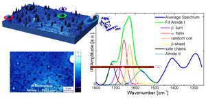 RuggeriDataProteins 3Dillustration